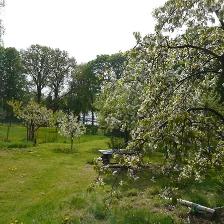 Haus Am בית נופש