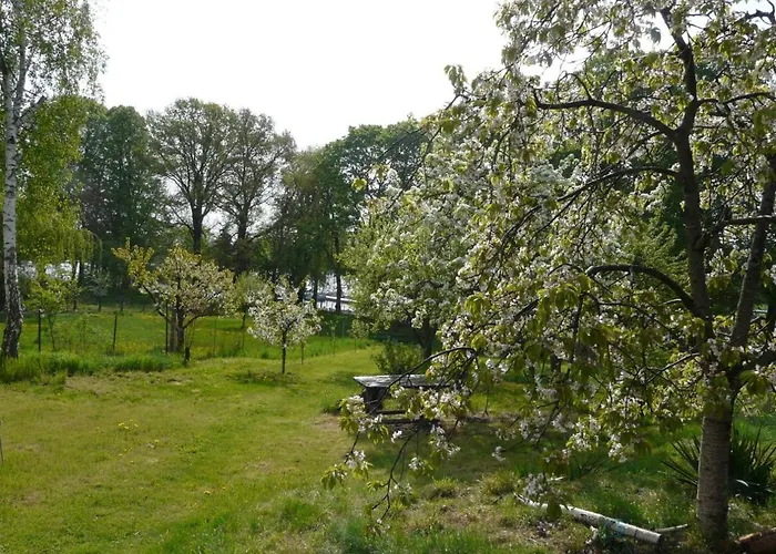 Haus Am Holiday home